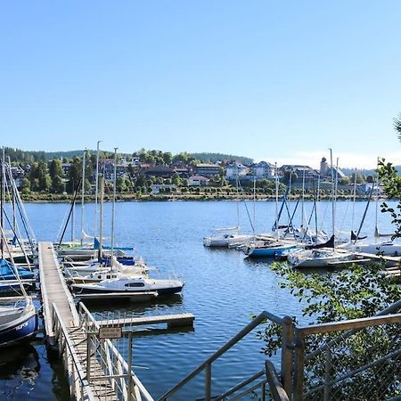 Fewo Sperlingskauz Mit Pool, Sauna & Hochschwarzwaldcard Schluchsee Luaran gambar