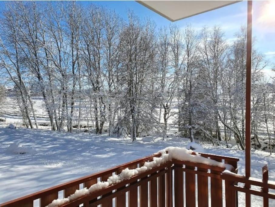 Fewo Sperlingskauz Mit Pool, Sauna & Hochschwarzwaldcard Schluchsee Luaran gambar