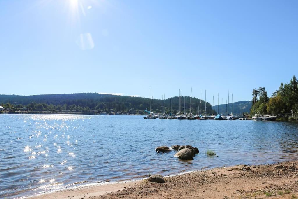 Fewo Sperlingskauz Mit Pool, Sauna & Hochschwarzwaldcard Schluchsee Luaran gambar