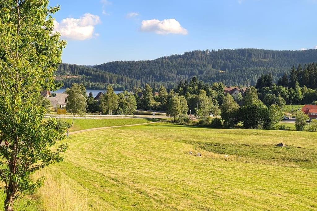 Fewo Sperlingskauz Mit Pool, Sauna & Hochschwarzwaldcard Schluchsee Luaran gambar