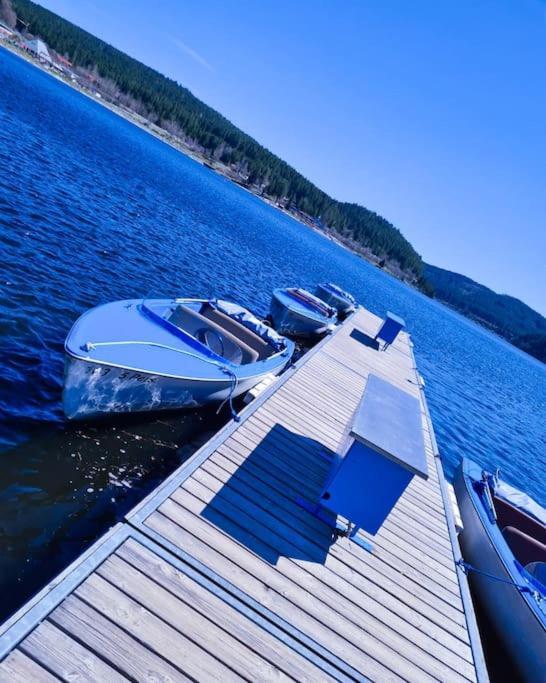 Fewo Sperlingskauz Mit Pool, Sauna & Hochschwarzwaldcard Schluchsee Luaran gambar