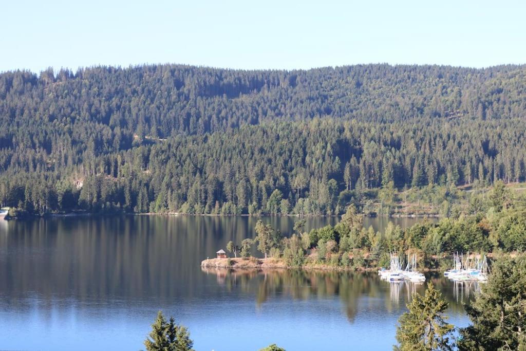 Fewo Sperlingskauz Mit Pool, Sauna & Hochschwarzwaldcard Schluchsee Luaran gambar