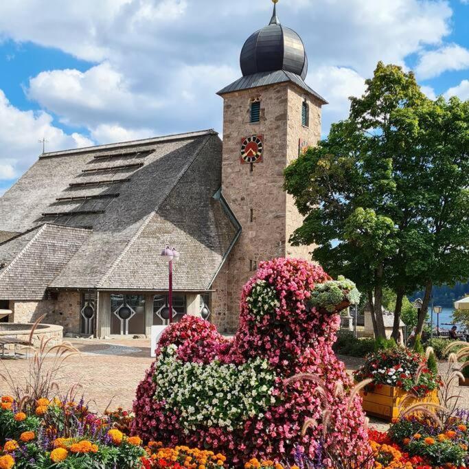 Fewo Sperlingskauz Mit Pool, Sauna & Hochschwarzwaldcard Schluchsee Luaran gambar