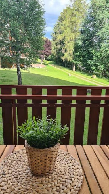 Fewo Sperlingskauz Mit Pool, Sauna & Hochschwarzwaldcard Schluchsee Luaran gambar